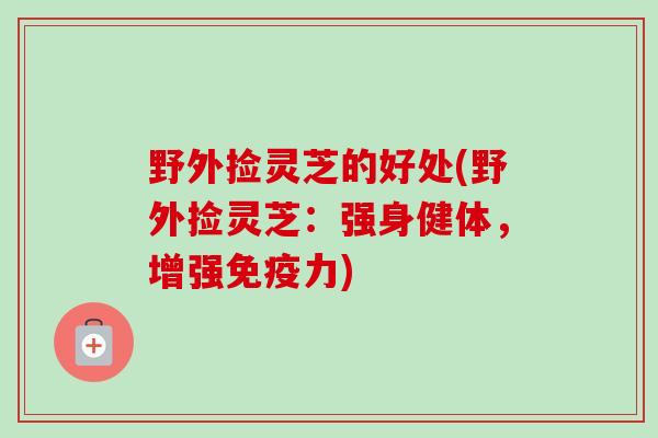 野外捡灵芝的好处(野外捡灵芝：强身健体，增强免疫力)