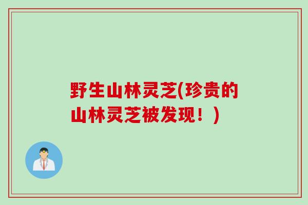 野生山林灵芝(珍贵的山林灵芝被发现！)