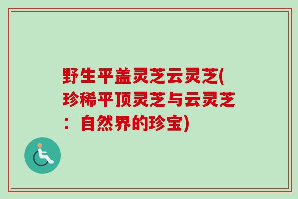 野生平盖灵芝云灵芝(珍稀平顶灵芝与云灵芝：自然界的珍宝)