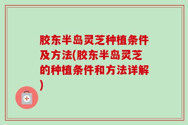 胶东半岛灵芝种植条件及方法(胶东半岛灵芝的种植条件和方法详解) 胶东半岛灵芝种植条件及方法(胶东半岛灵芝的种植条件和方法详解)