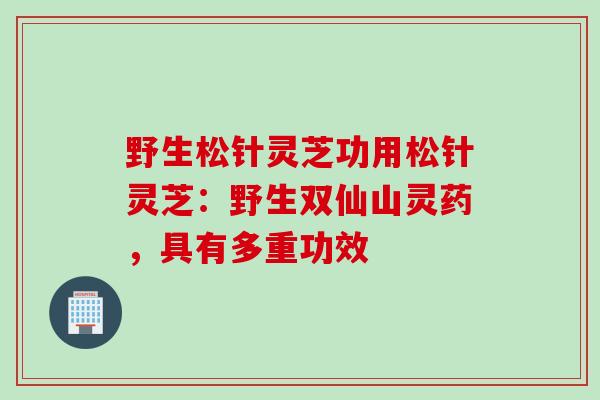 野生松针灵芝功用松针灵芝：野生双仙山灵药，具有多重功效