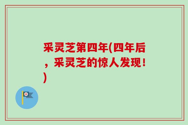 采灵芝第四年(四年后，采灵芝的惊人发现！)