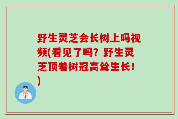 野生灵芝会长树上吗视频(看见了吗？野生灵芝顶着树冠高耸生长！)