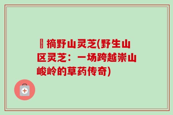 釆摘野山灵芝(野生山区灵芝：一场跨越崇山峻岭的草药传奇)