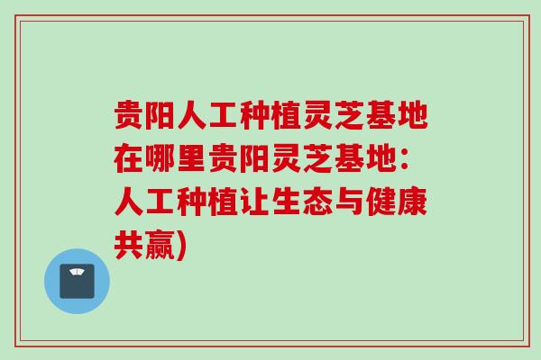 贵阳人工种植灵芝基地在哪里贵阳灵芝基地：人工种植让生态与健康共赢)