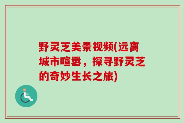 野灵芝美景视频(远离城市喧嚣，探寻野灵芝的奇妙生长之旅)