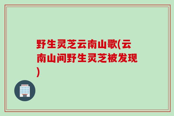 野生灵芝云南山歌(云南山间野生灵芝被发现)