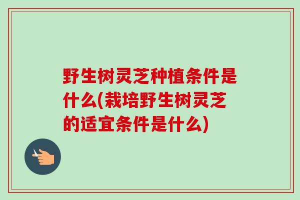 野生树灵芝种植条件是什么(栽培野生树灵芝的适宜条件是什么) 野生树灵芝种植条件是什么(栽培野生树灵芝的适宜条件是什么)