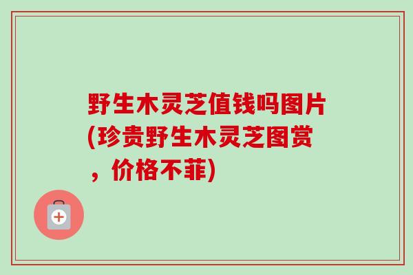 野生木灵芝值钱吗图片(珍贵野生木灵芝图赏，价格不菲)