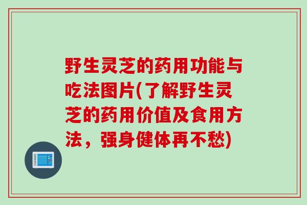 野生灵芝的药用功能与吃法图片(了解野生灵芝的药用价值及食用方法，强身健体再不愁)