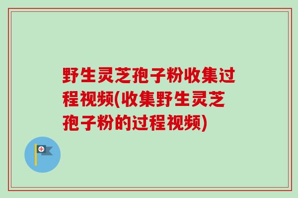 野生灵芝孢子粉收集过程视频(收集野生灵芝孢子粉的过程视频)