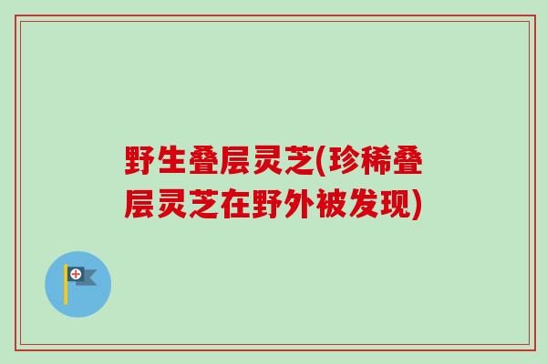 野生叠层灵芝(珍稀叠层灵芝在野外被发现)