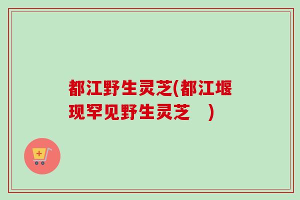 都江野生灵芝(都江堰现罕见野生灵芝 ) 都江野生灵芝(都江堰现罕见野生灵芝 )