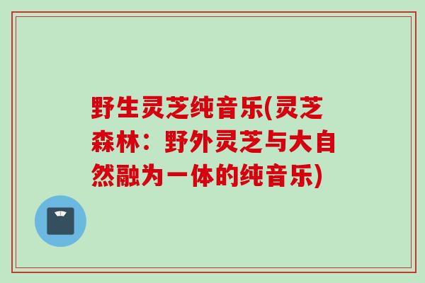 野生灵芝纯音乐(灵芝森林：野外灵芝与大自然融为一体的纯音乐)