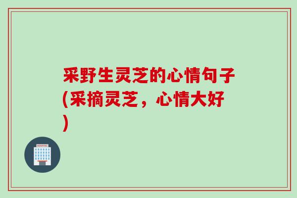 采野生灵芝的心情句子(采摘灵芝，心情大好)