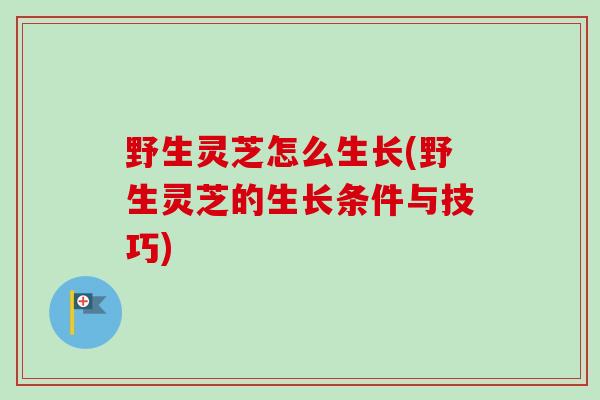 野生灵芝怎么生长(野生灵芝的生长条件与技巧)