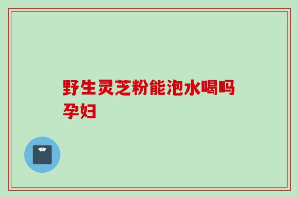 野生灵芝粉能泡水喝吗孕妇