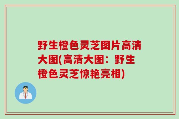 野生橙色灵芝图片高清大图(高清大图：野生橙色灵芝惊艳亮相)