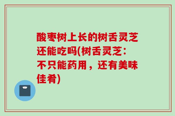 酸枣树上长的树舌灵芝还能吃吗(树舌灵芝：不只能药用，还有美味佳肴)