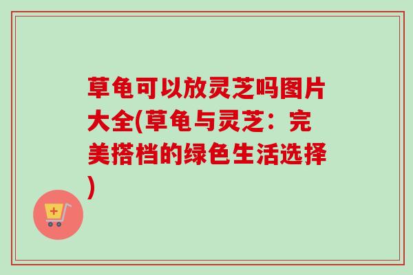 草龟可以放灵芝吗图片大全(草龟与灵芝：完美搭档的绿色生活选择)