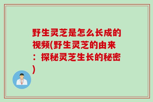 野生灵芝是怎么长成的视频(野生灵芝的由来:探秘灵芝生长的秘密) 野生灵芝是怎么长成的视频(野生灵芝的由来:探秘灵芝生长的秘密)