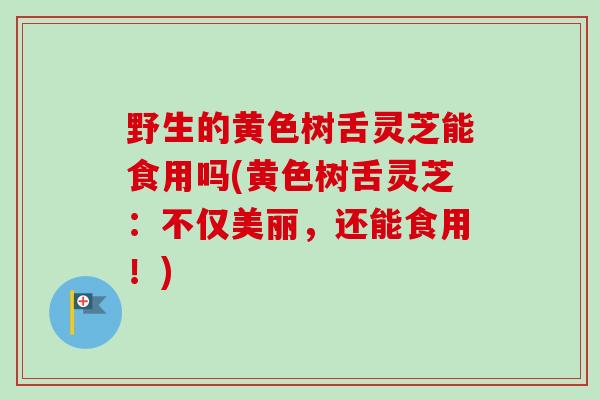 野生的黄色树舌灵芝能食用吗(黄色树舌灵芝：不仅美丽，还能食用！)