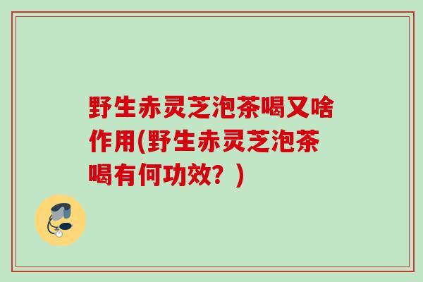 野生赤灵芝泡茶喝又啥作用(野生赤灵芝泡茶喝有何功效？)