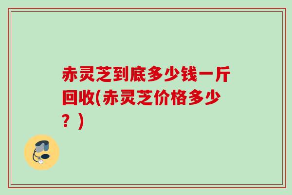 赤灵芝到底多少钱一斤回收(赤灵芝价格多少？)