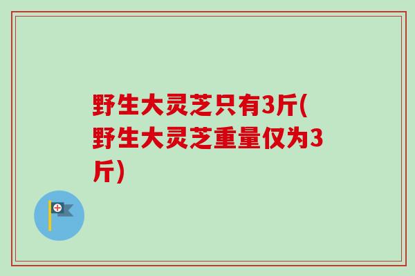 野生大灵芝只有3斤(野生大灵芝重量仅为3斤) 野生大灵芝只有3斤(野生大灵芝重量仅为3斤)