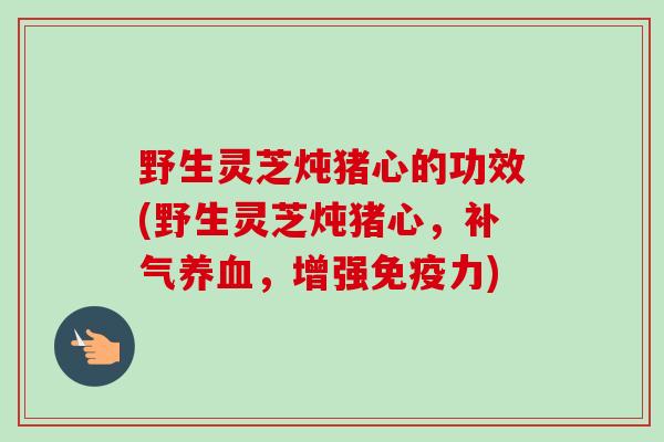 野生灵芝炖猪心的功效(野生灵芝炖猪心，补气养血，增强免疫力)