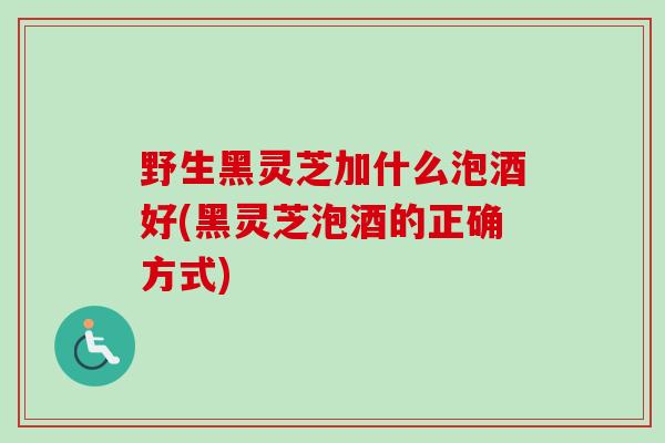 野生黑灵芝加什么泡酒好(黑灵芝泡酒的正确方式)