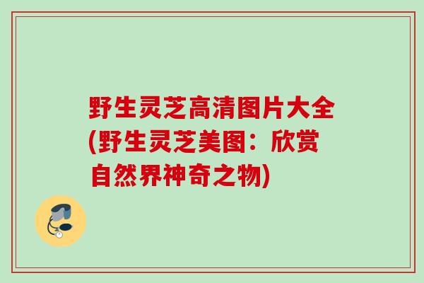 野生灵芝高清图片大全(野生灵芝美图：欣赏自然界神奇之物)