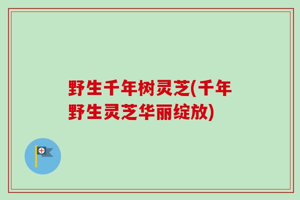野生千年树灵芝(千年野生灵芝华丽绽放)