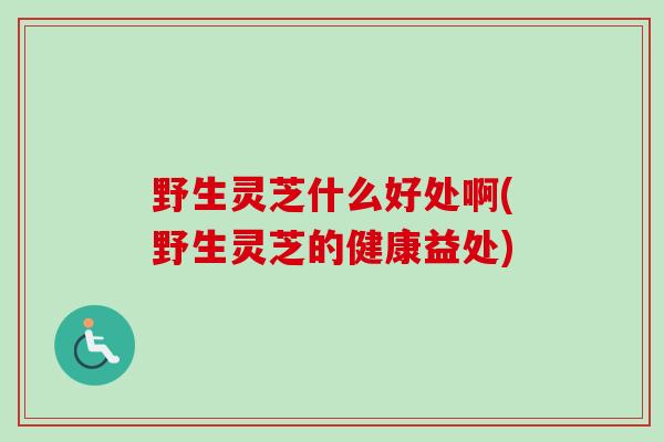 野生灵芝什么好处啊(野生灵芝的健康益处)