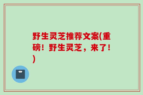 野生灵芝推荐文案(重磅！野生灵芝，来了！)