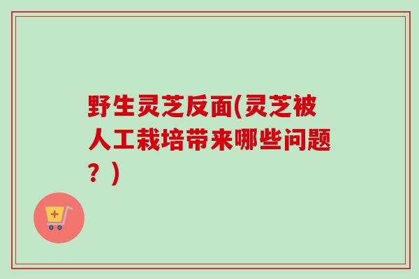 野生灵芝反面(灵芝被人工栽培带来哪些问题？)
