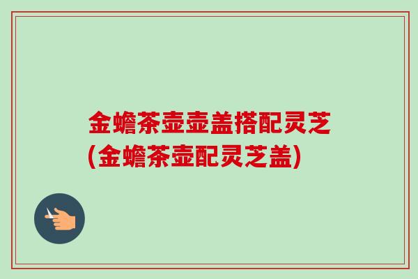 金蟾茶壶壶盖搭配灵芝(金蟾茶壶配灵芝盖)