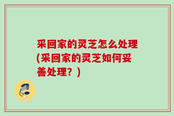 采回家的灵芝怎么处理(采回家的灵芝如何妥善处理?) 采回家的灵芝怎么处理(采回家的灵芝如何妥善处理?)