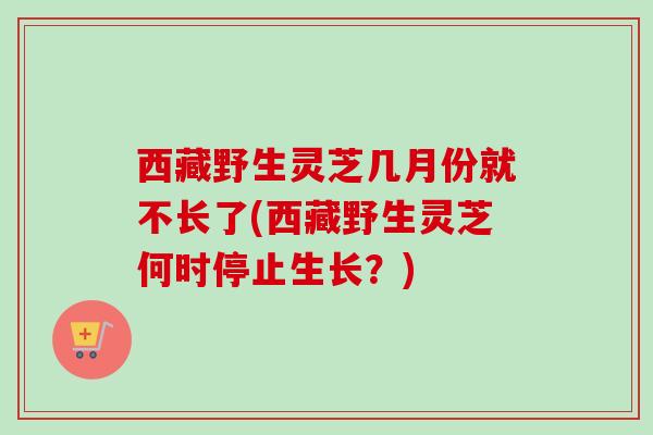 西藏野生灵芝几月份就不长了(西藏野生灵芝何时停止生长？)