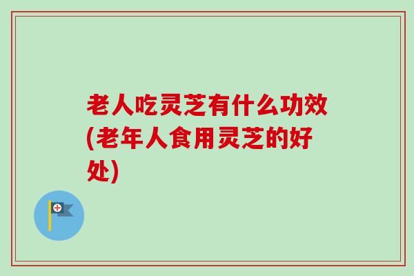 老人吃灵芝有什么功效(老年人食用灵芝的好处)