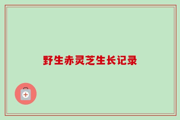 野生赤灵芝生长记录 野生赤灵芝生长记录
