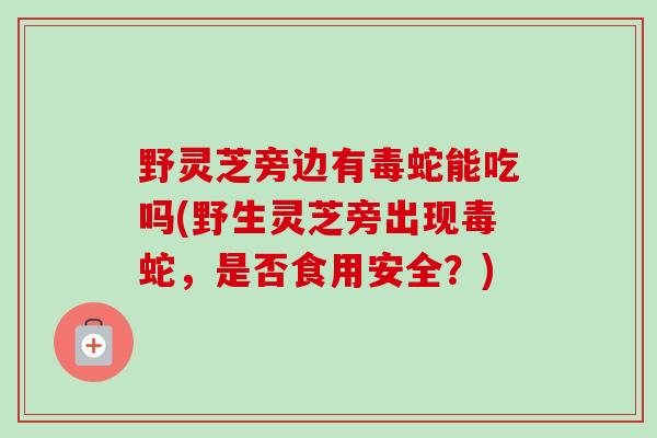 野灵芝旁边有毒蛇能吃吗(野生灵芝旁出现毒蛇,是否食用安全?) 野灵芝旁边有毒蛇能吃吗(野生灵芝旁出现毒蛇,是否食用安全?)