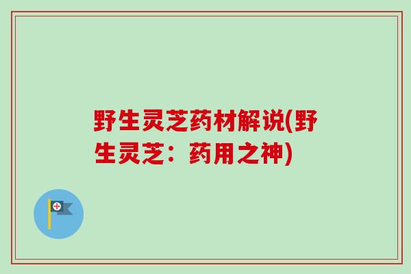 野生灵芝药材解说(野生灵芝：药用之神)