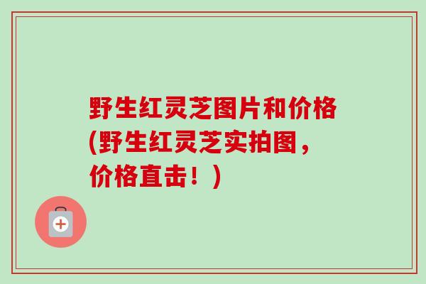 野生红灵芝图片和价格(野生红灵芝实拍图，价格直击！)