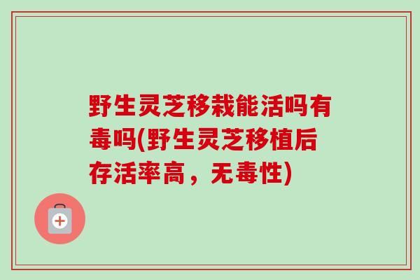 野生灵芝移栽能活吗有毒吗(野生灵芝移植后存活率高,无毒性) 野生灵芝移栽能活吗有毒吗(野生灵芝移植后存活率高,无毒性)