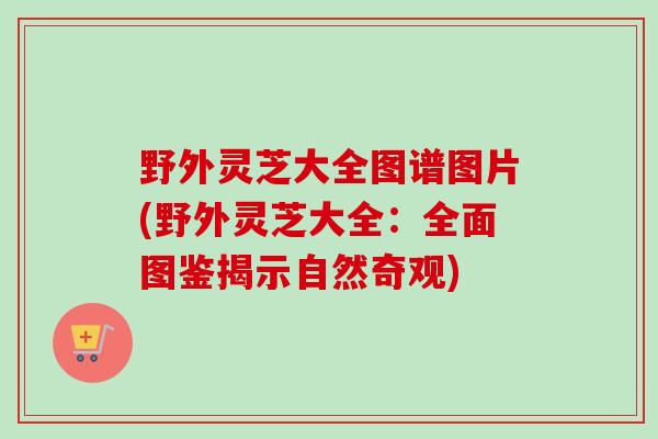 野外灵芝大全图谱图片(野外灵芝大全：全面图鉴揭示自然奇观)