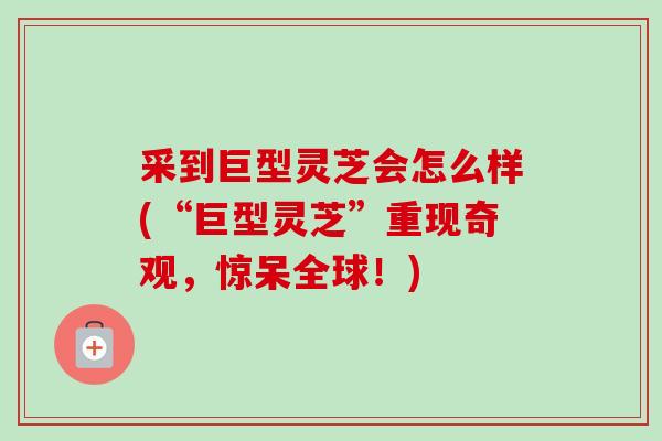 采到巨型灵芝会怎么样(“巨型灵芝”重现奇观，惊呆全球！)