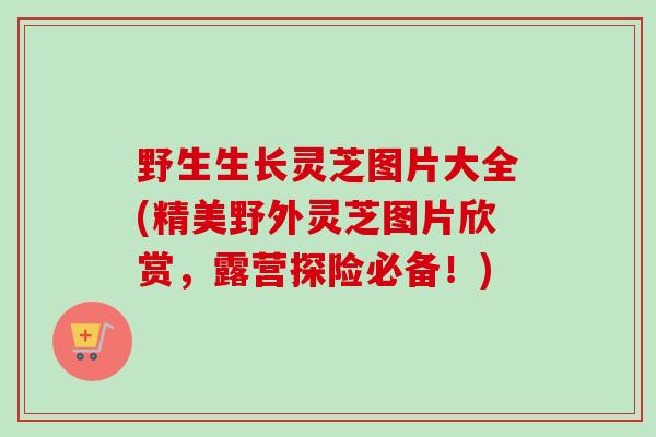 野生生长灵芝图片大全(精美野外灵芝图片欣赏，露营探险必备！)