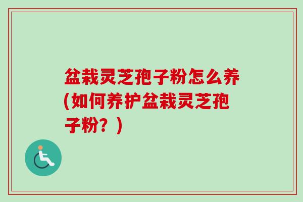 盆栽灵芝孢子粉怎么养(如何养护盆栽灵芝孢子粉？)