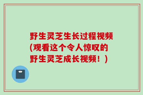 野生灵芝生长过程视频(观看这个令人惊叹的野生灵芝成长视频！)